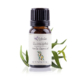 Aceite esencial de Eucalipto
